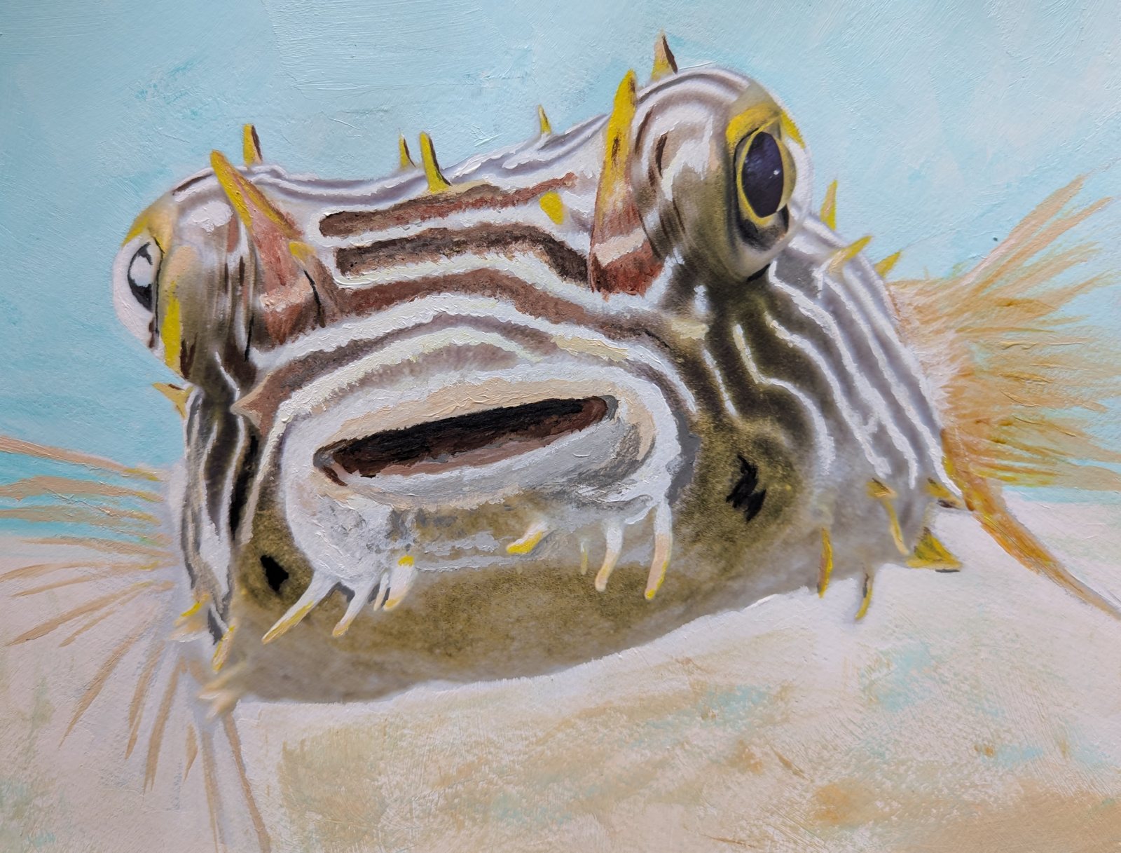 Burrfish