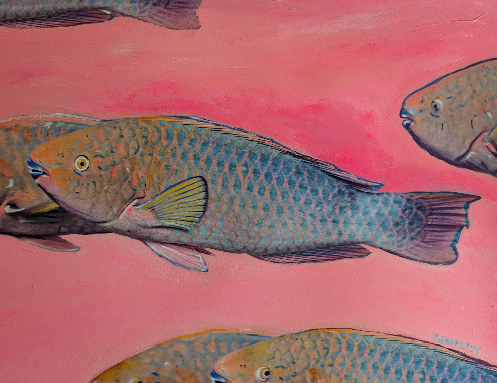 Parrot Fish
