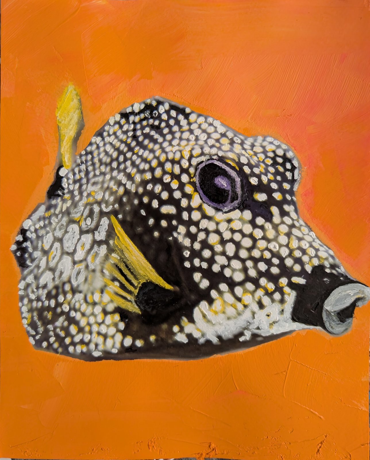Trunkfish